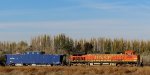 BNSF 5392-DODX 801